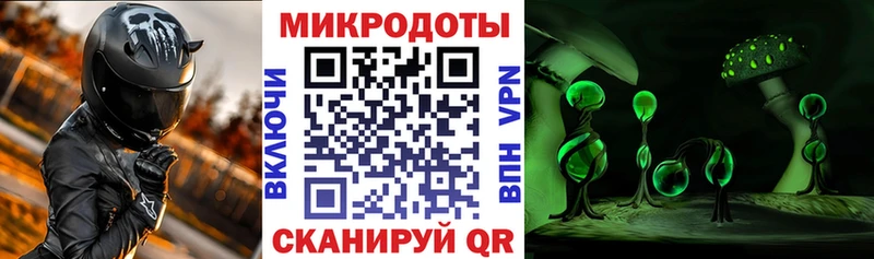 blacksprut ONION  Евпатория  Галлюциногенные грибы Psilocybe 